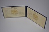 Стоимость диплома техникума УзбекАССР 1975-1991 г. в Кеми (Республика Карелия)