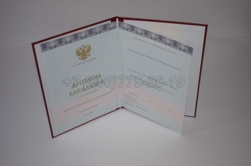 Красный Диплом Бакалавра 2024г ООО "Знак" в Петрозаводске